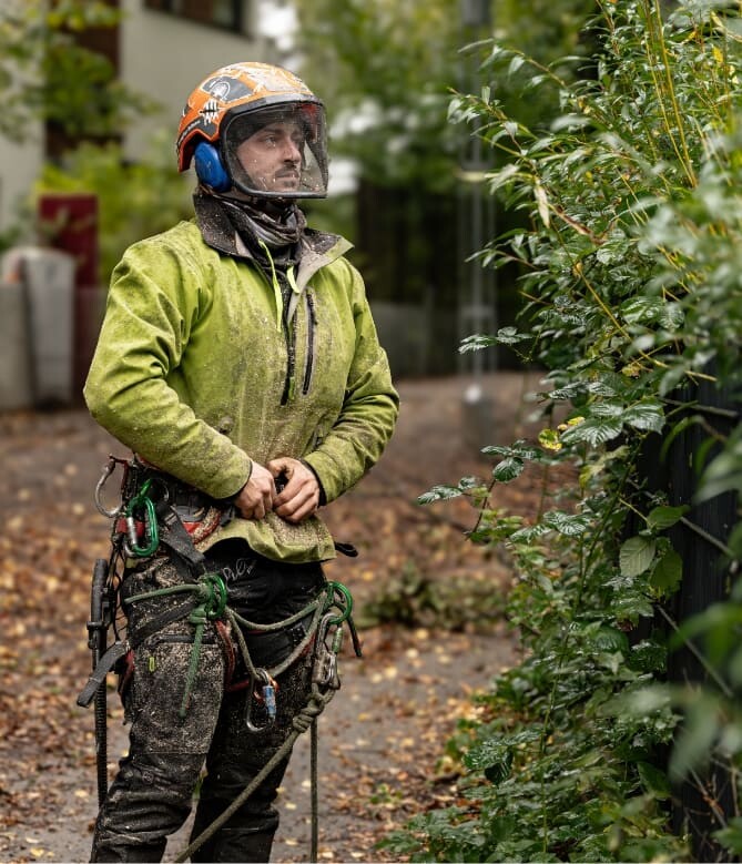 Baumpfleger in Arbeitsschutzkleidung